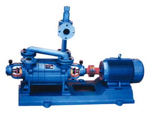 2SK,2SK-P1系列水环真空泵